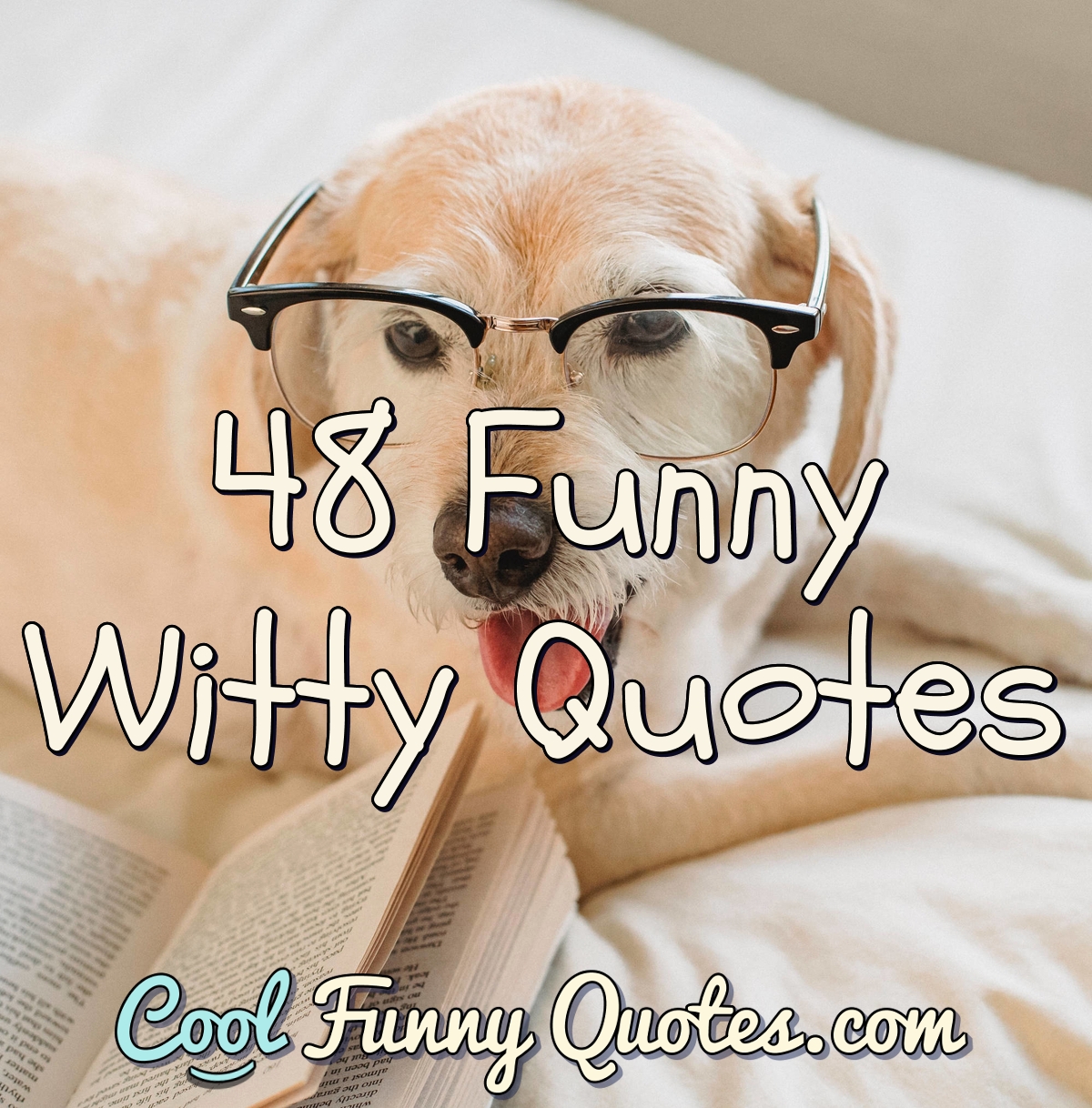 quirky quotes