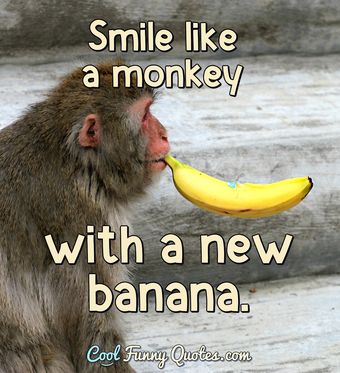 Smile like a monkey with a new banana.