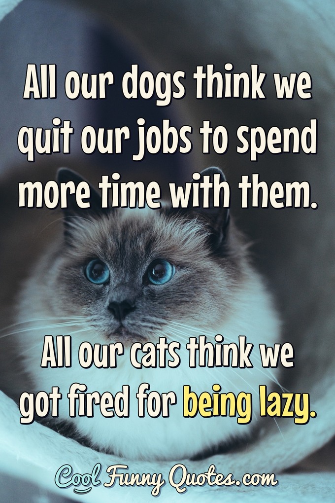 funny dog and cat quotes
