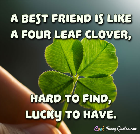 A best friend is like a four leaf clover, hard to find, lucky to have. - Anonymous