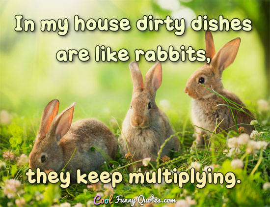 dirty funny quotes and sayings