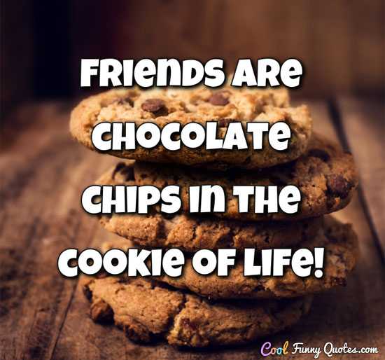 funny quotes about life and friendship