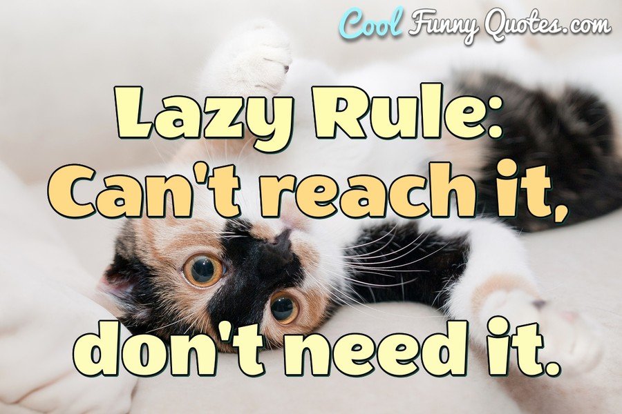 Lazy Is Such An Ugly Word I Prefer To Call It Selective Participation 