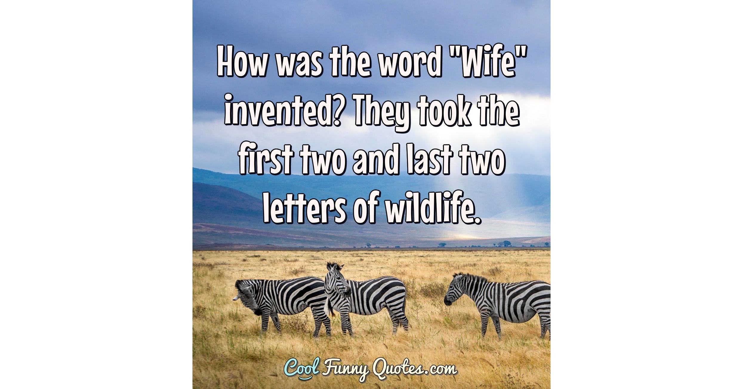 how-was-the-word-wife-invented-they-took-the-first-two-and-last-two