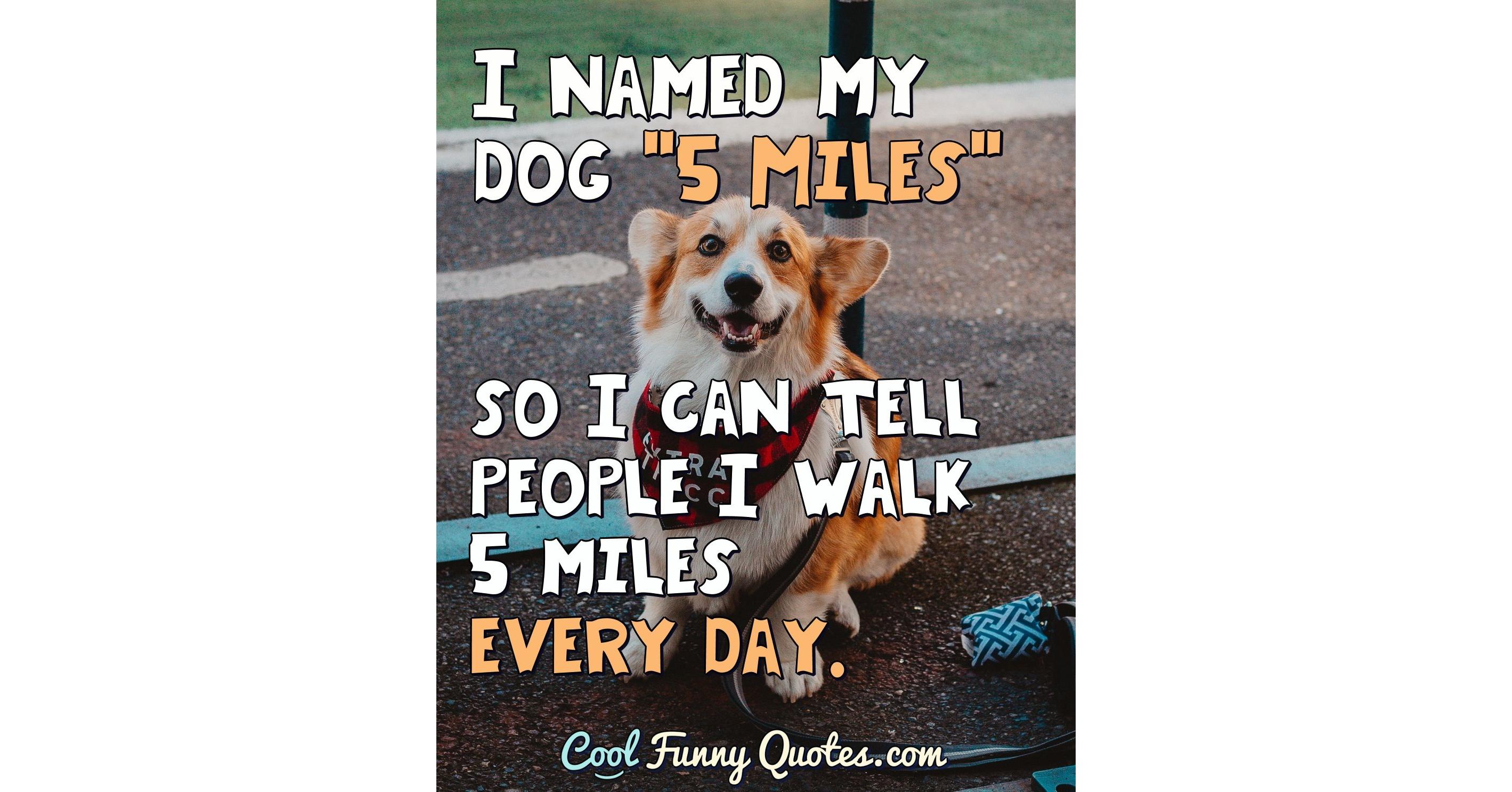 i-named-my-dog-5-miles-so-i-can-tell-people-i-walk-5-miles-every-day