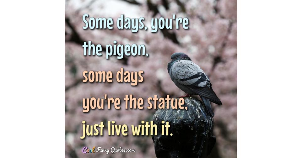 Some days, you're the pigeon, some days you're the statue, just live ...