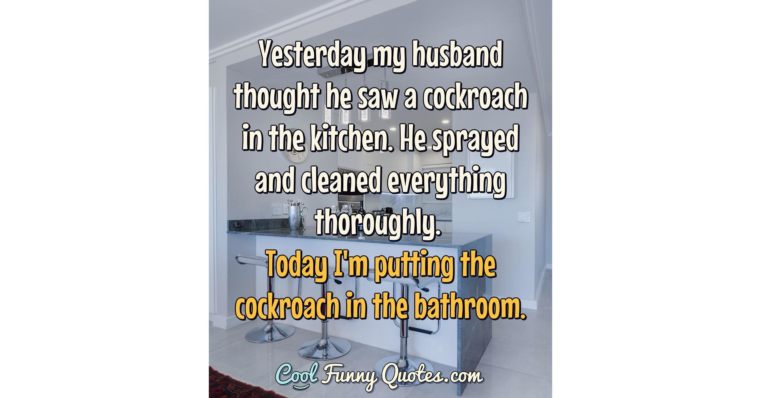 cockroach husband