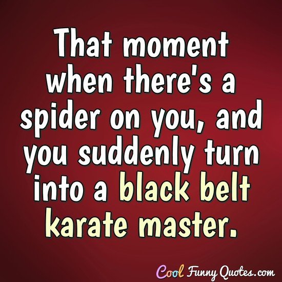 The moment you walk into a spider web and suddenly turn into a karate  master It happens to the best of us.