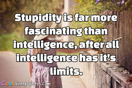 Stupidity Is Far More Fascinating Than Intelligence After All Intelligence Has
