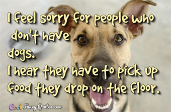funny quotes about dogs
