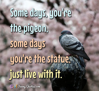 Some days, you're the pigeon, some days you're the statue, just live ...