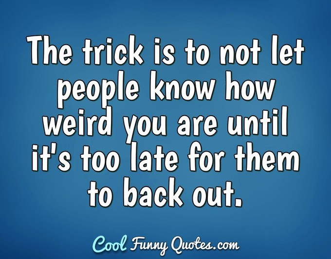 Cool Funny Quotes 800 Amusing Sayings And Quotations