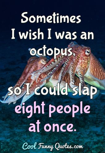 Funny Animal Quotes - Cool Funny Quotes