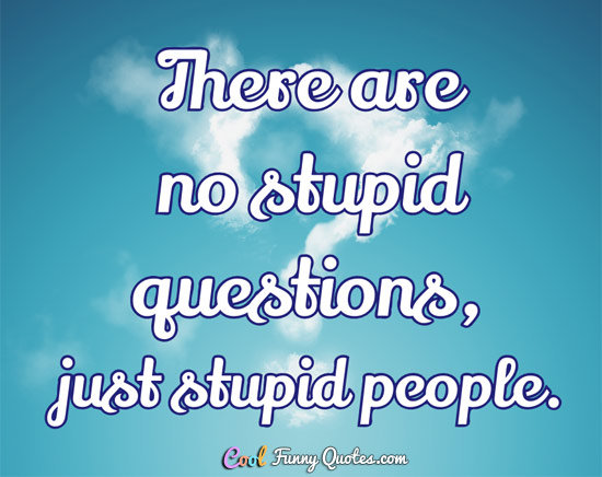 stupid sayings and quotes
