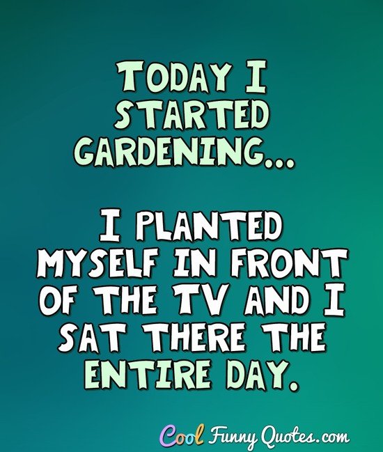 22+ Funny Quotes About Gardening